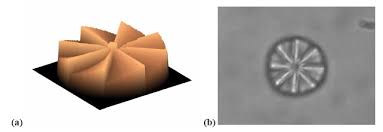 2PP fabricated structure which can be used to modify the angular momentum content of a beam.