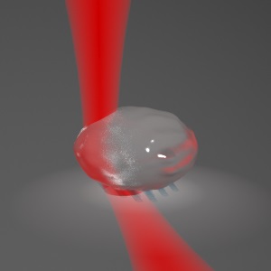 Artistic impression of otolith in an optical trap.